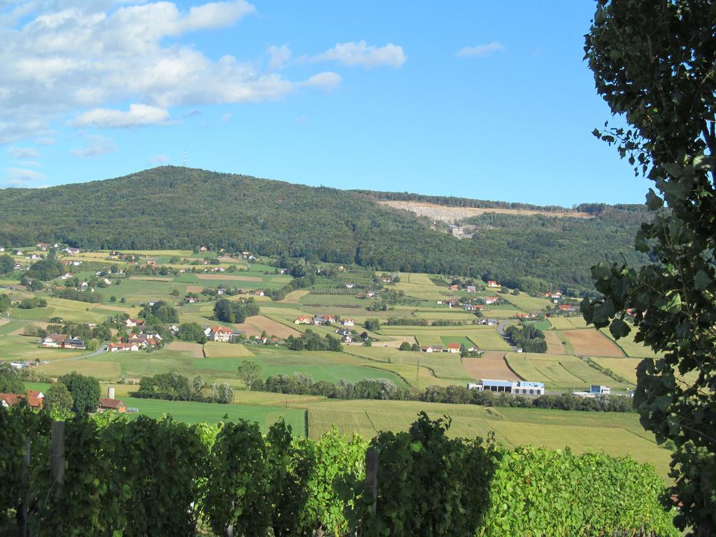 Appartement Weingut Schoberhof Bad Gleichenberg Værelse billede