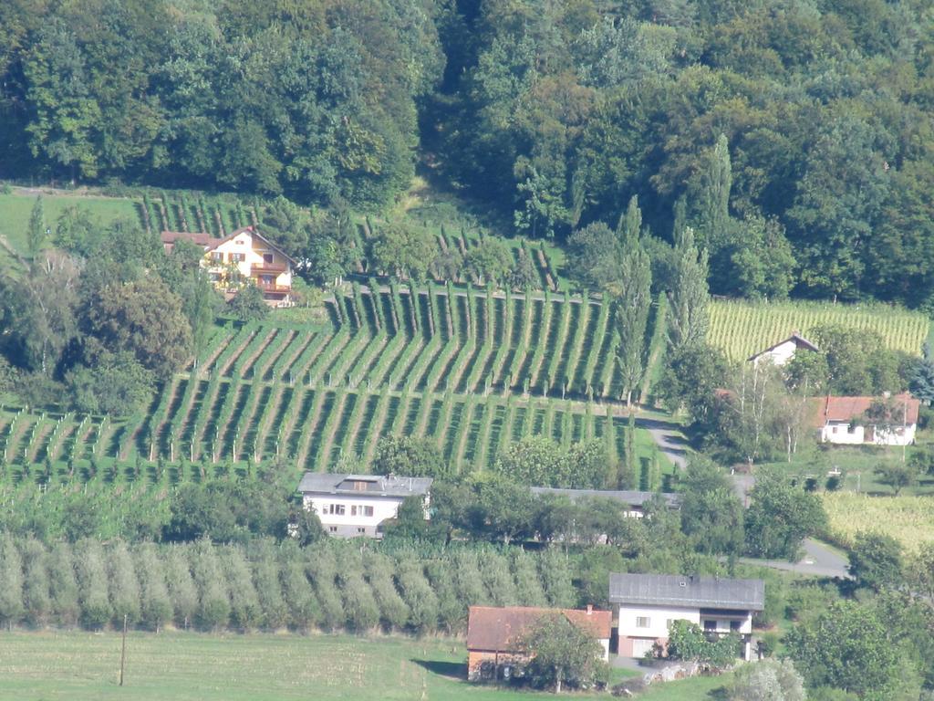 Appartement Weingut Schoberhof Bad Gleichenberg Værelse billede