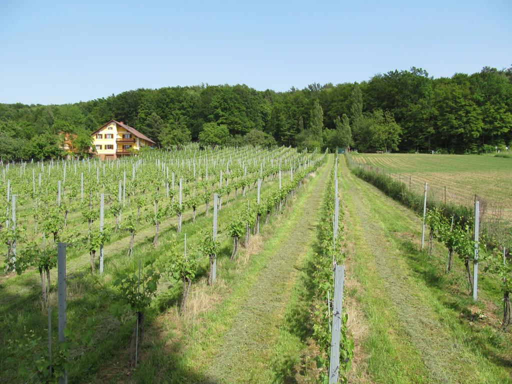 Appartement Weingut Schoberhof Bad Gleichenberg Værelse billede