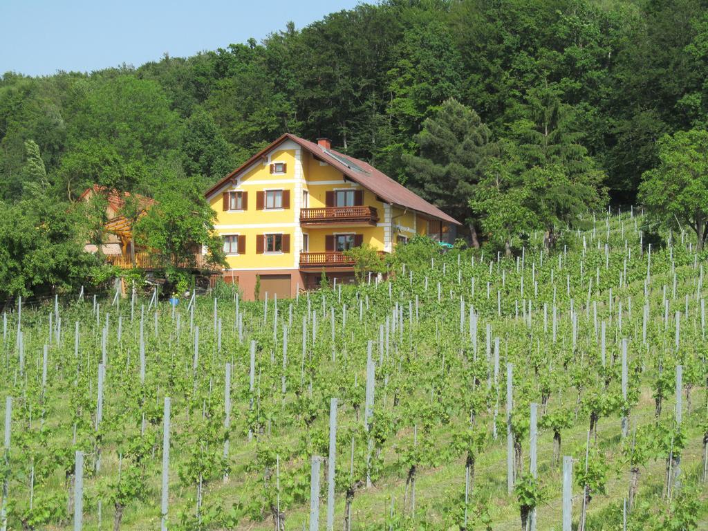 Appartement Weingut Schoberhof Bad Gleichenberg Værelse billede