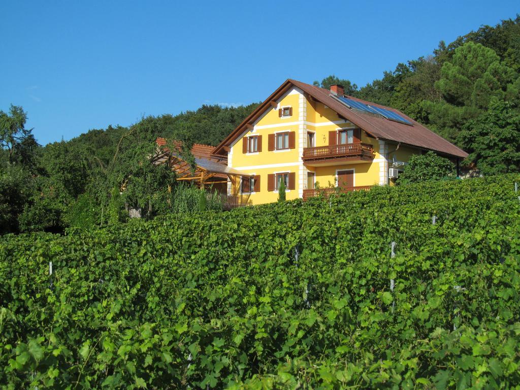 Appartement Weingut Schoberhof Bad Gleichenberg Eksteriør billede