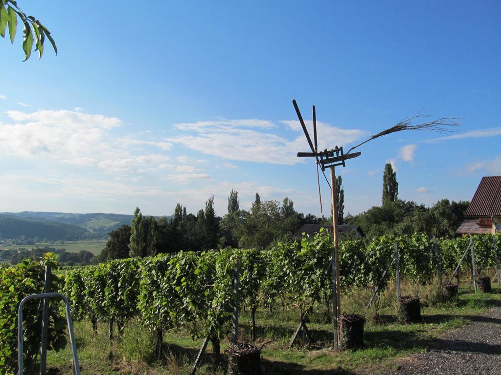 Appartement Weingut Schoberhof Bad Gleichenberg Eksteriør billede